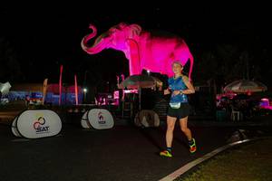 BIB: 
                            <button type="button" onclick="openModal(26542867)" class="btn btn-primary btn-sm float-right btn-popup" data-toggle="modal" data-target=".modal-high-quality">
                        <i class="fas fa-shopping-cart"></i> Add to Cart
                    </button>
                                            <button type="button" onclick="isThisMe(26542867, true)" class="btn btn-success btn-sm float-right btn-popup btn-isme hidden" data-toggle="tooltip" data-placement="bottom" title="นี่คือรูปของคุณใช่ไหม คลิกที่นี่เพื่อเอาเข้าอัลบั้ม">
                        <i class="fas fa-plus"></i> Add to album
                    </button>
                    <button type="button" onclick="isThisMe(26542867, false)" class="btn btn-warning btn-sm float-right btn-popup btn-isnotme hidden">
                        <i class="fas fa-ban"></i> Remove from album
                    </button>